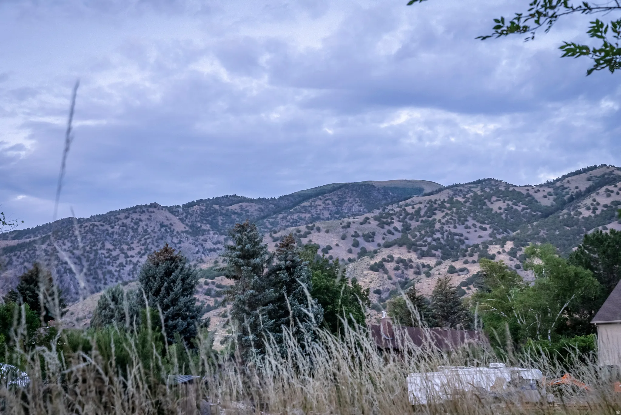 Mountainous terrain with natural tree coverage under a cloudy sky