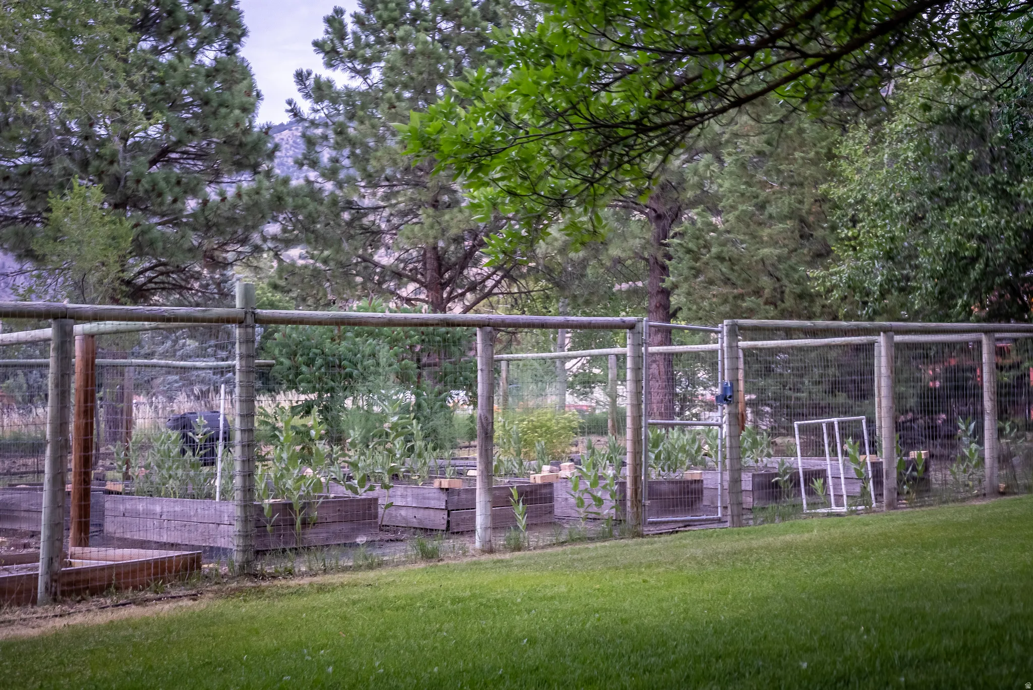 Fenced garden area featuring multiple raised wooden planter beds