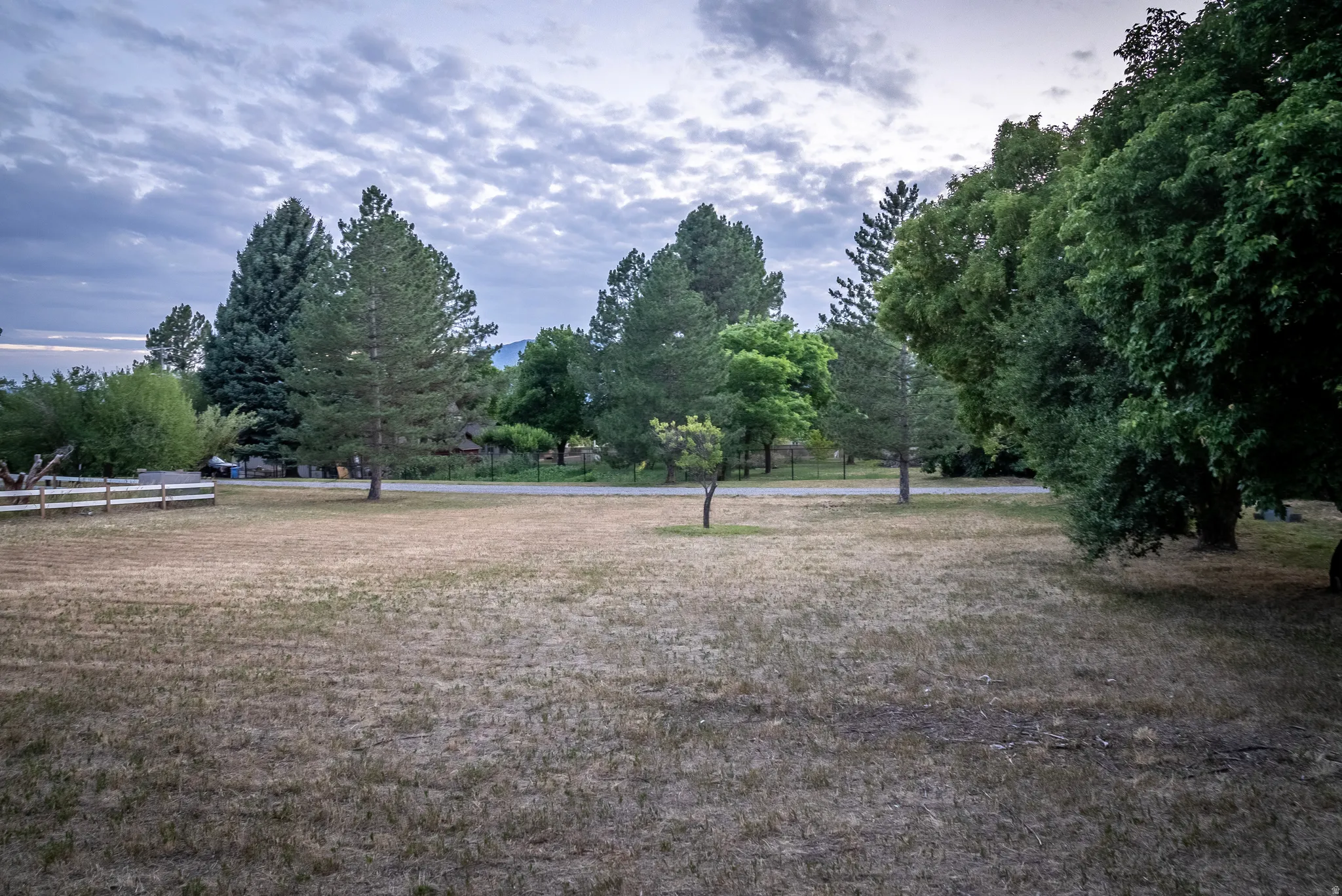 Expansive outdoor area featuring mature trees and a wooden fence line
