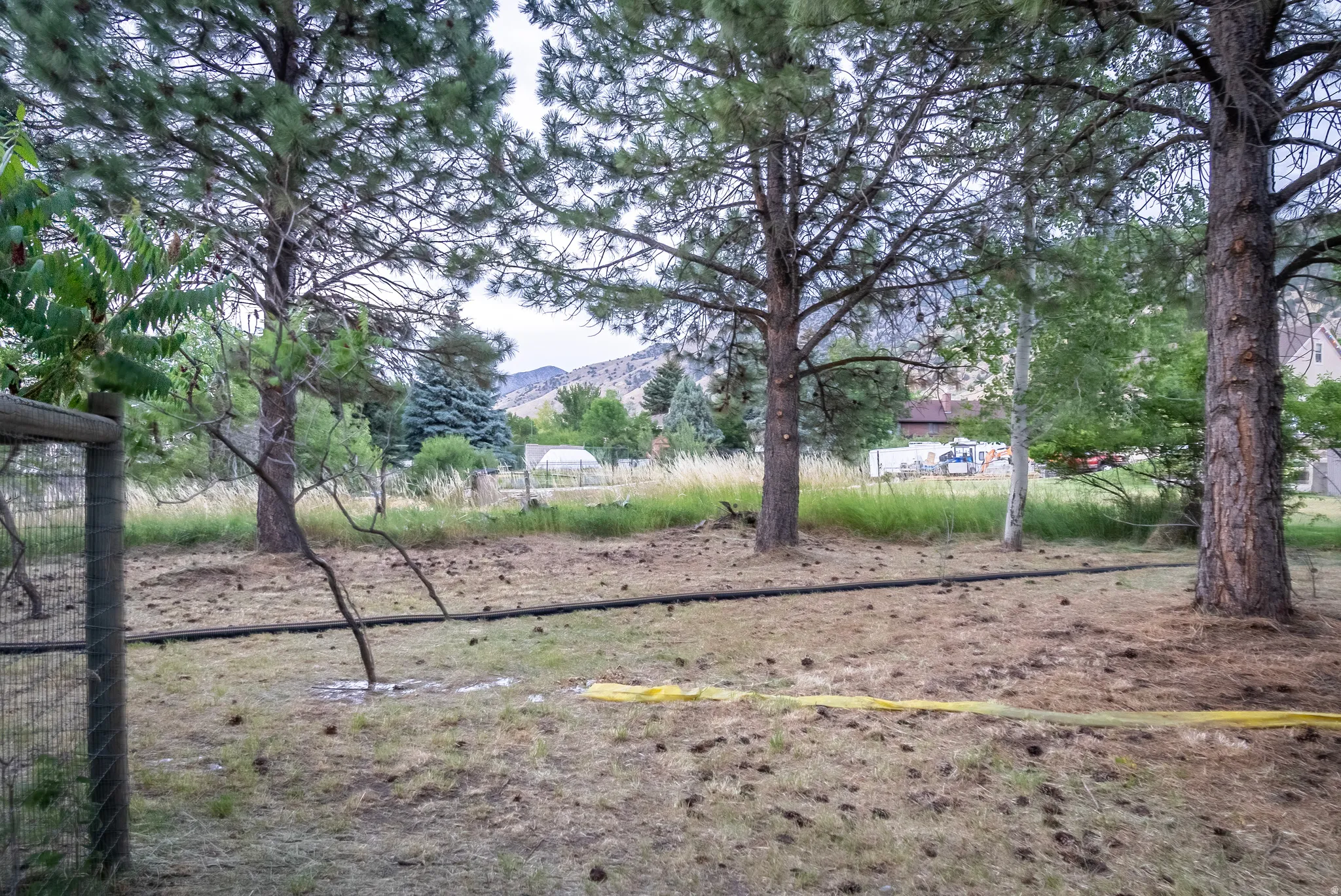 Expansive outdoor space featuring mature pine trees, a partial wire fence, and distant mountain scenery