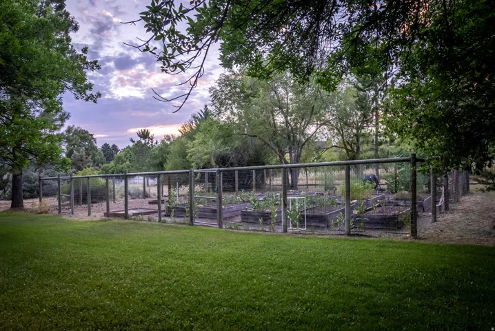 Expansive lawn area featuring a fenced garden with multiple raised planting beds
