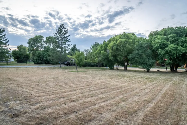 Expansive lot featuring mature trees and a perimeter fence