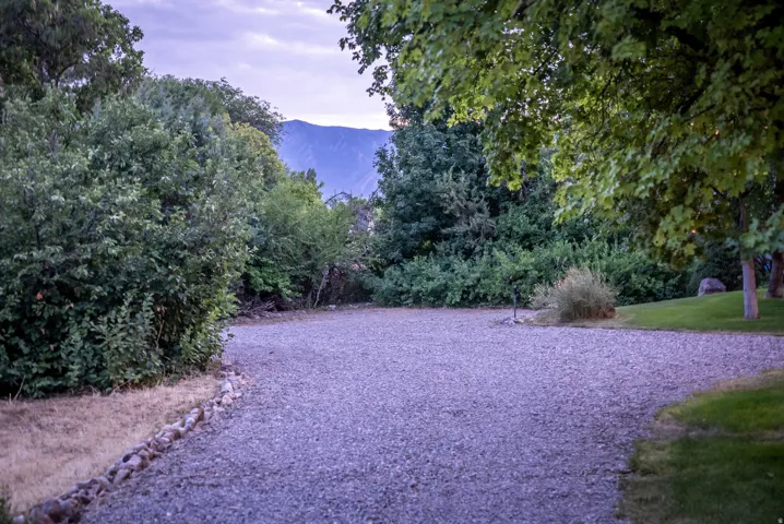 Gravel driveway surrounded by mature trees and natural landscaping