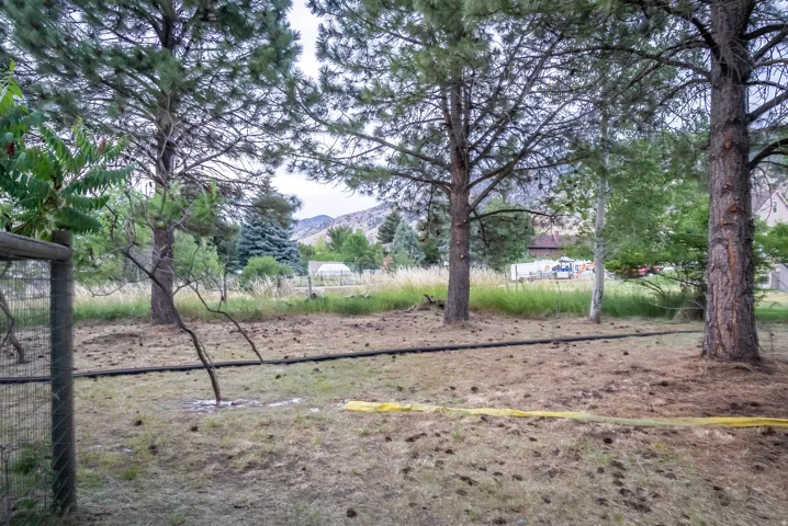 Expansive outdoor space featuring mature pine trees, a partial wire fence, and distant mountain scenery
