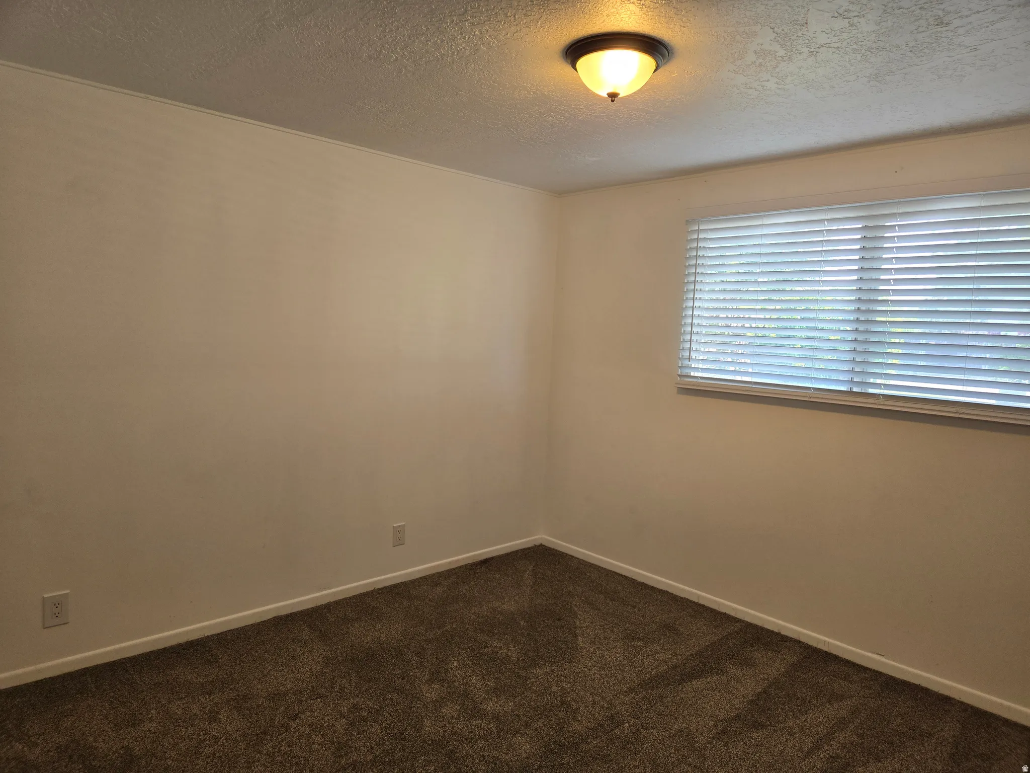 Neutral wall paint, textured ceiling, window with horizontal blinds, flush mount light fixture, and brown carpeting create a versatile interior space