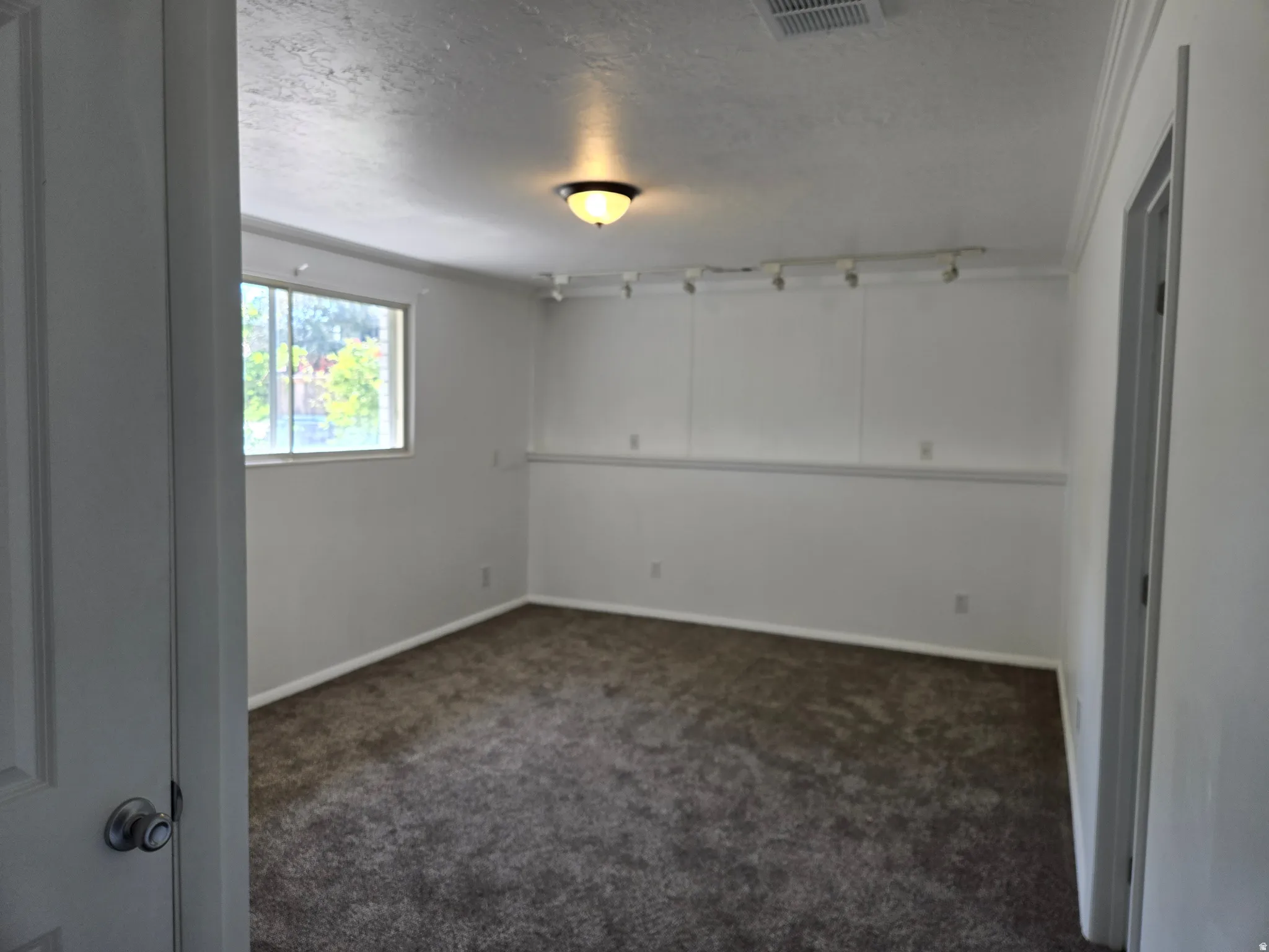 Carpeted interior space featuring a window, ceiling-mounted light fixture, crown molding, and track lighting