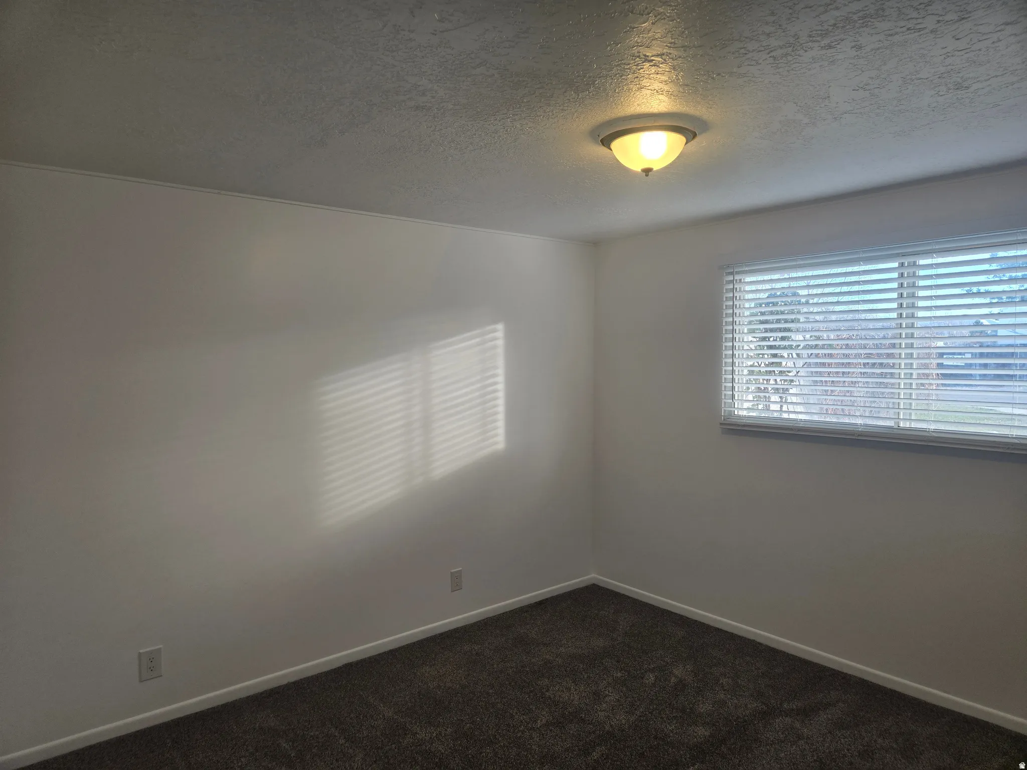 Room featuring wall-to-wall carpeting, light-colored walls, a window with horizontal blinds, and a flush-mount ceiling light fixture