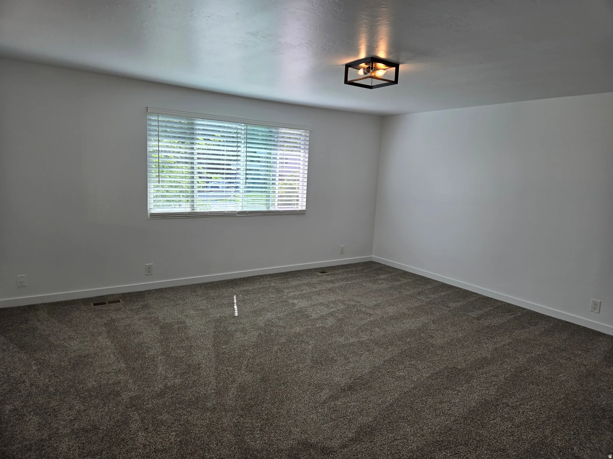 Neutral wall finishes with white baseboards and textured carpeting
