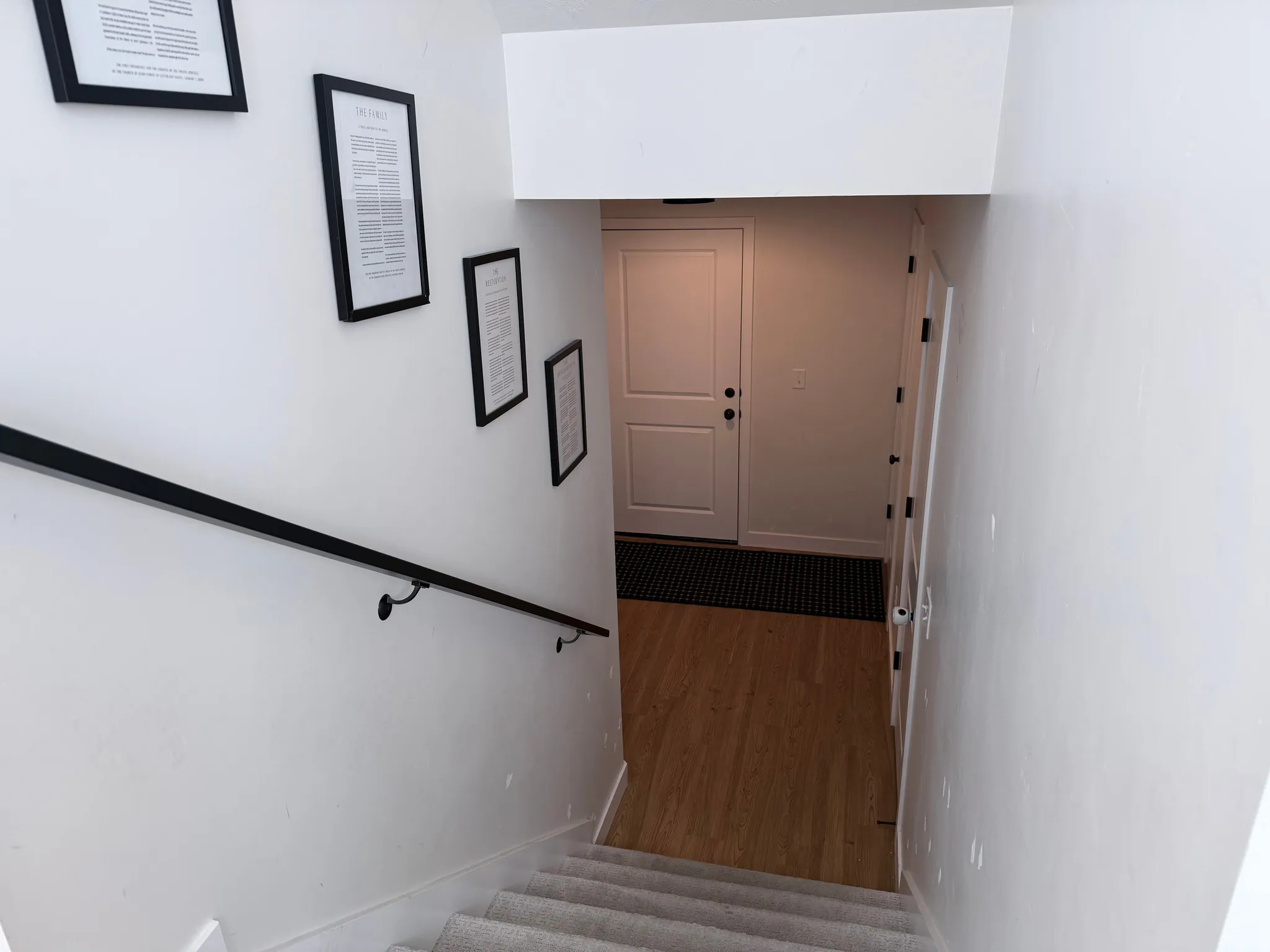 Carpeted stairs with a contemporary black handrail lead to a landing featuring wood-finish flooring and a white paneled door