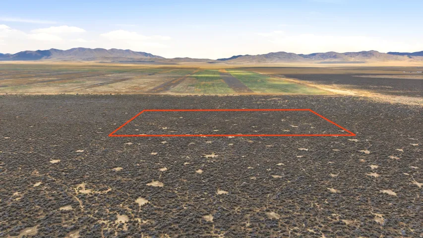 Expansive undeveloped land featuring natural desert vegetation, a level topography, and a distant mountain range backdrop. (LOCATION/BOUNDARIES HIGHLIGHTED)