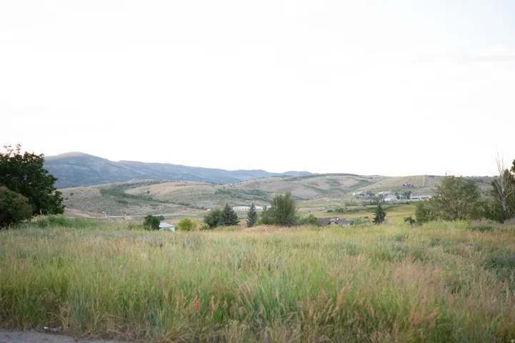 Expansive undeveloped land featuring natural grasses, mature trees, and distant rolling hills