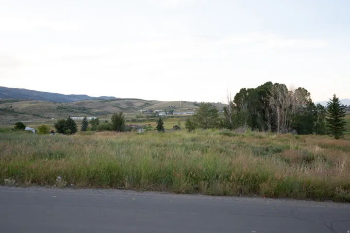 Expansive undeveloped lot featuring varied natural grasses and trees, bordered by a paved road