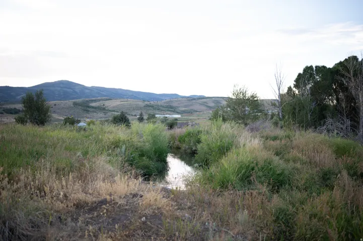 Natural landscape featuring a meandering stream, lush grasses, and distant rolling hills