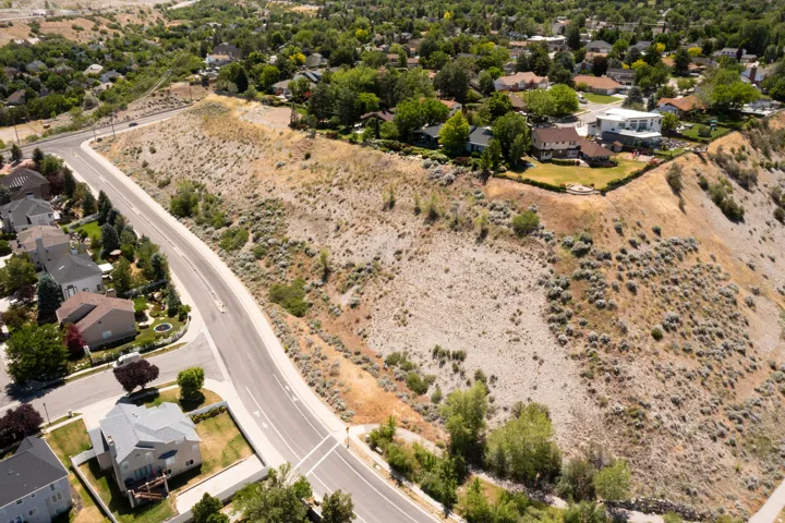 Expansive undeveloped hillside lot featuring natural vegetation and direct road frontage