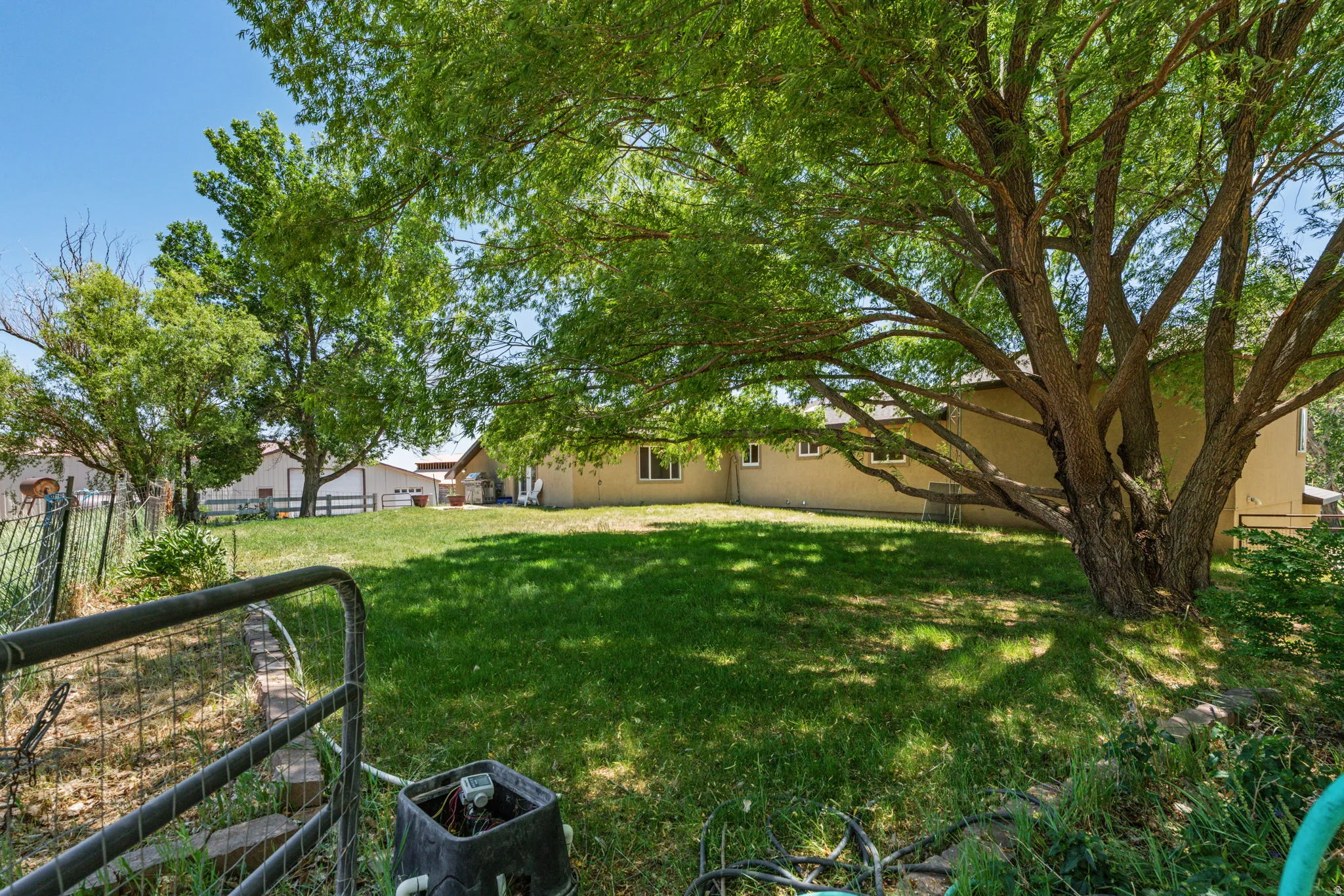 Expansive green lawn with mature trees providing shade