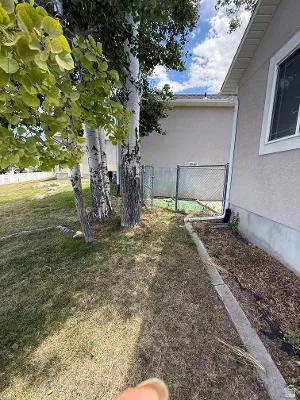 Mature trees provide natural shading alongside the property