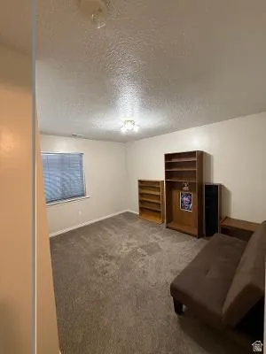 Carpeted room featuring a single window with horizontal blinds, light-toned walls, and a ceiling-mounted light fixture