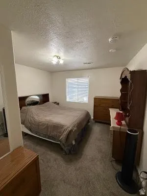 Bedroom featuring textured walls and ceiling, a ceiling-mounted light fixture, a window with blinds, and carpeting