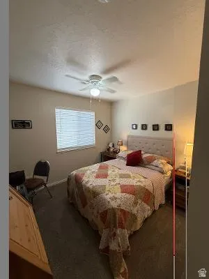Carpeted room featuring a ceiling fan with integrated lighting, a window with horizontal blinds, and neutral wall tones