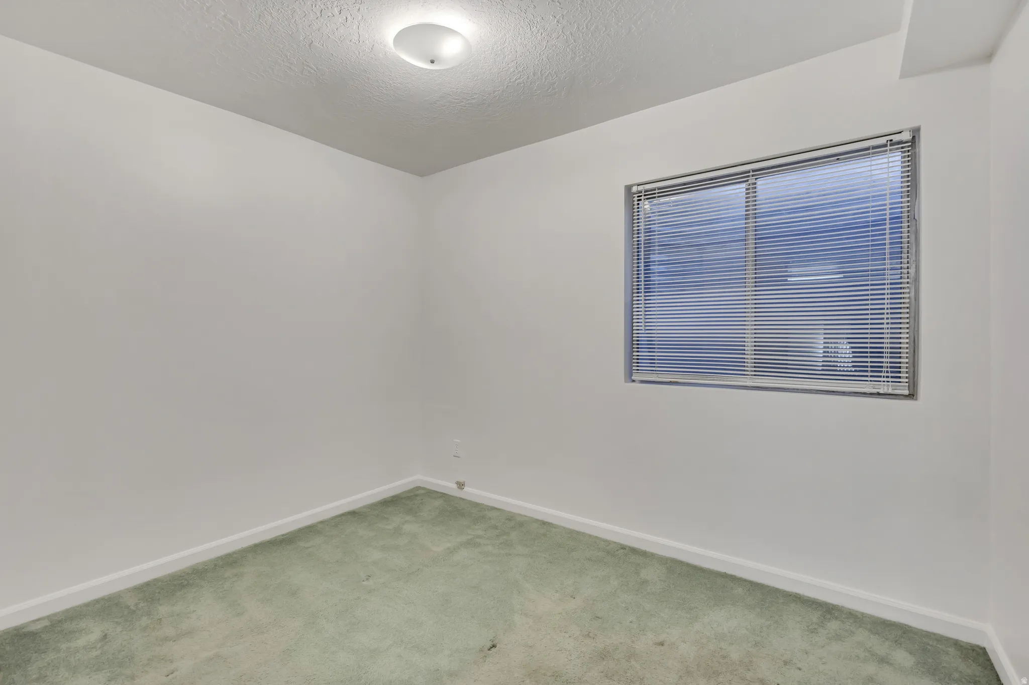 Neutral wall paint with baseboards, a window featuring horizontal blinds, and a flush-mount ceiling light fixture