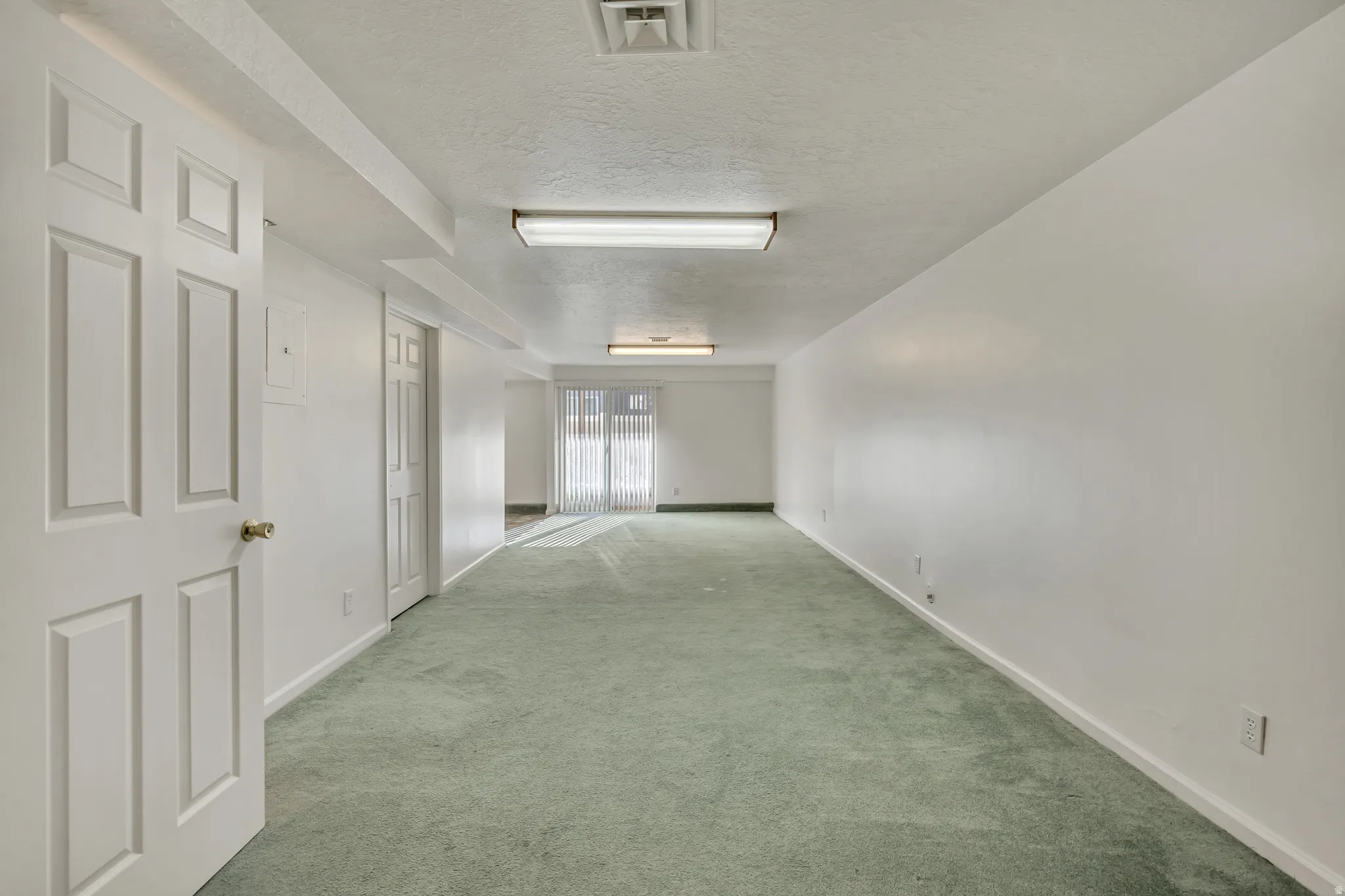 Spacious family room featuring light green carpeting, white walls, white paneled doors, and ceiling-mounted fluorescent lighting