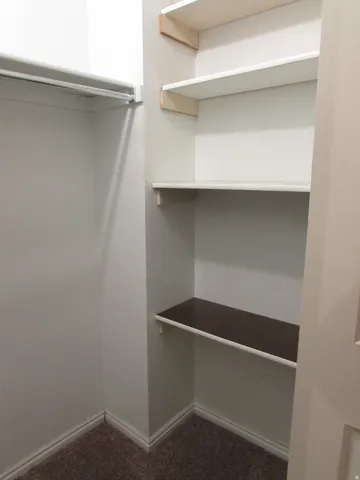 Walk-in closet featuring a metal hanging rod, three white shelves, a wood-finish shelf, and carpet flooring
