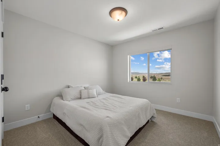 Bright room featuring light gray walls, plush carpeting, a large window, white trim, and a flush mount ceiling light fixture