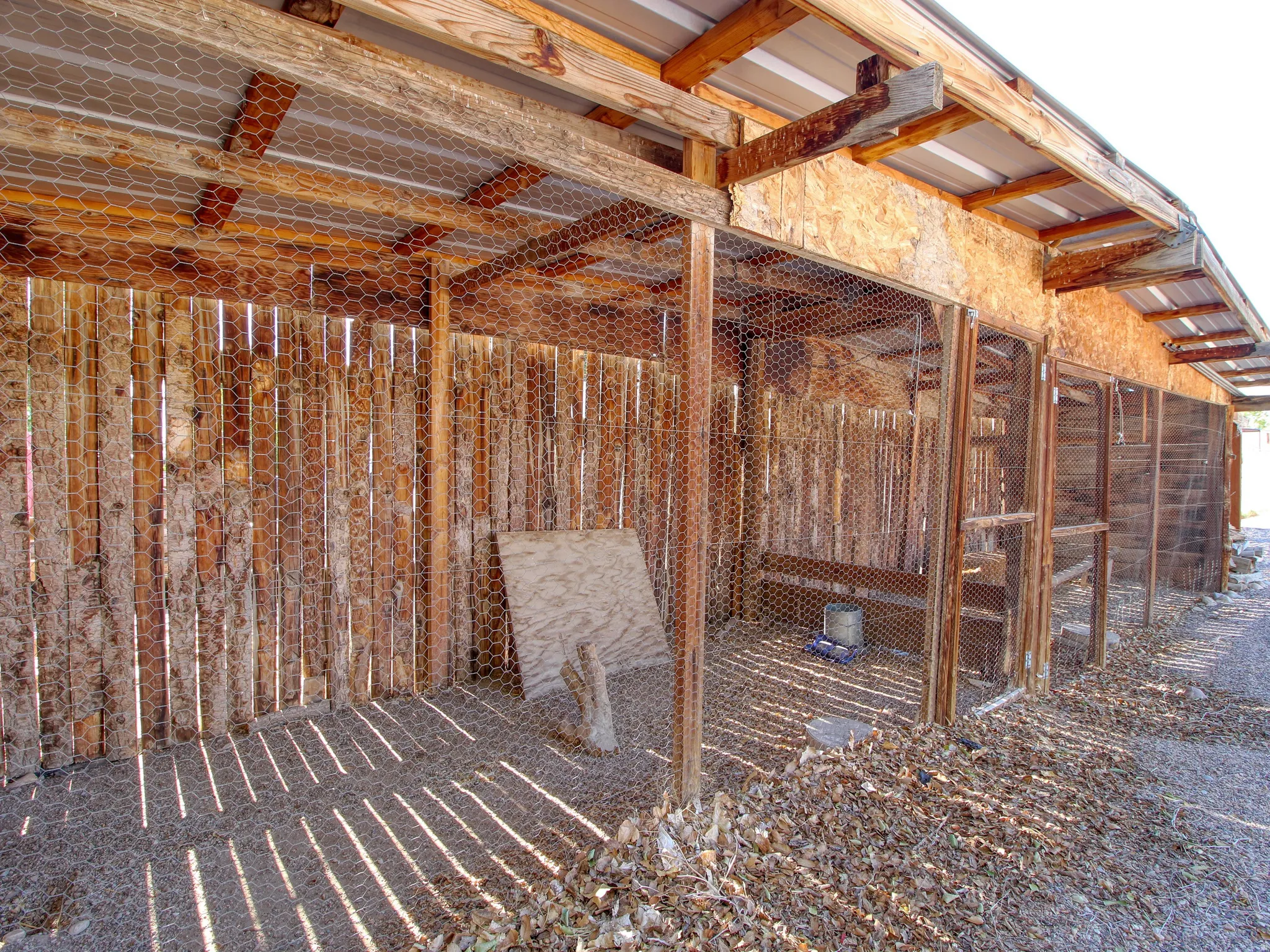 Chicken Coup