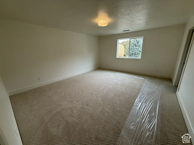 Neutral-toned carpeted flooring, single-window natural light exposure, and a flush-mount drum ceiling light fixture