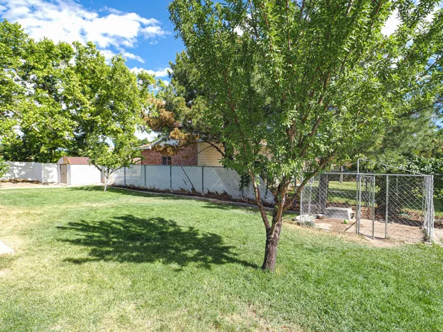Expansive fenced yard featuring mature trees, manicured lawn, a detached storage shed, and a chain-link enclosure