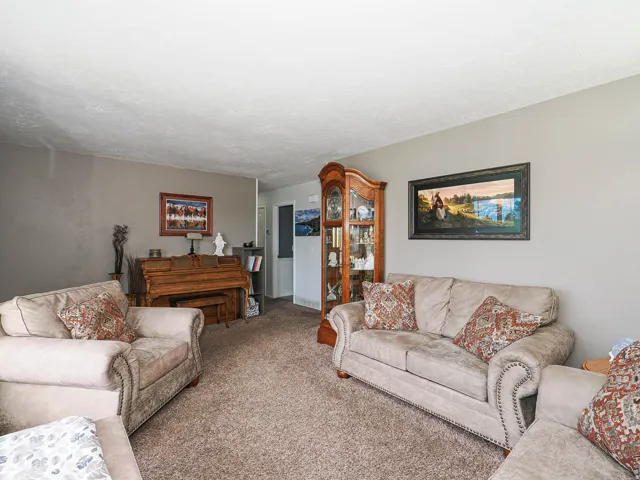 Carpeted living space with neutral painted walls