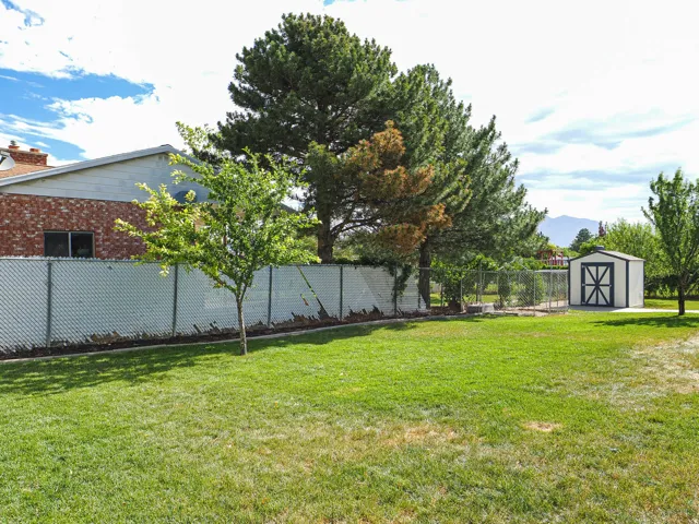 Expansive grassy yard featuring a chain-link fence, mature trees, and a storage shed with a contrasting trim