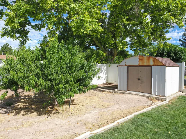 Expansive backyard featuring a mature tree, a smaller established tree, and a white metal storage shed with a brown corrugated roof