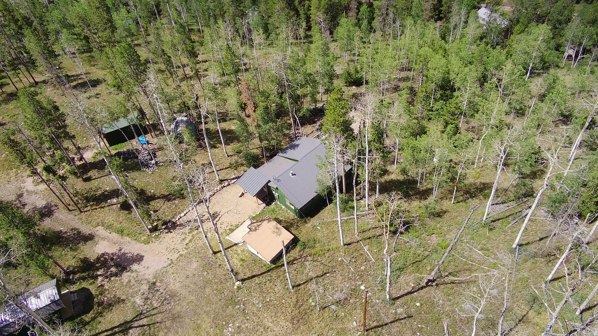 Wooded landscape featuring a green-sided structure with a gray roof