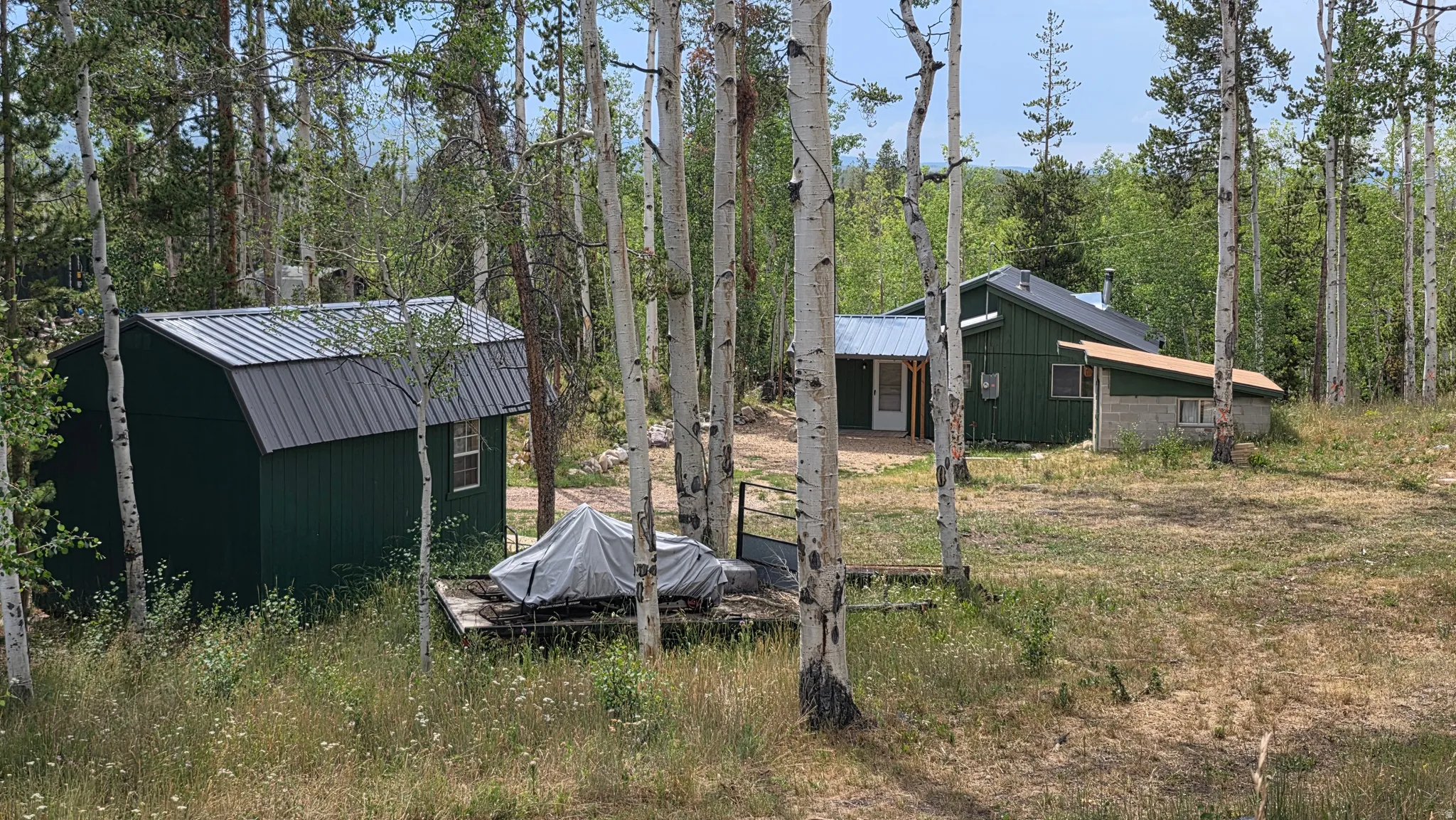 Wooded property featuring a detached outbuilding and a residence with a metal roof