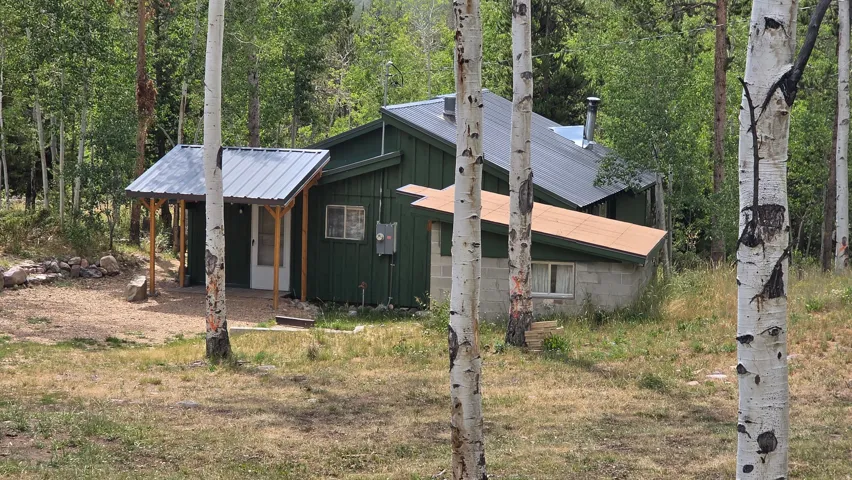 Wooded setting featuring a green exterior residence with a metal roof