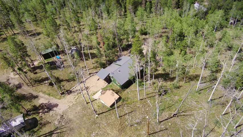 Wooded landscape featuring a green-sided structure with a gray roof