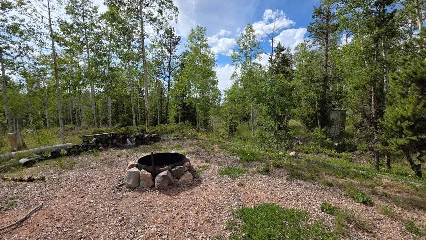 Expansive outdoor area featuring a circular metal fire pit surrounded by natural stones