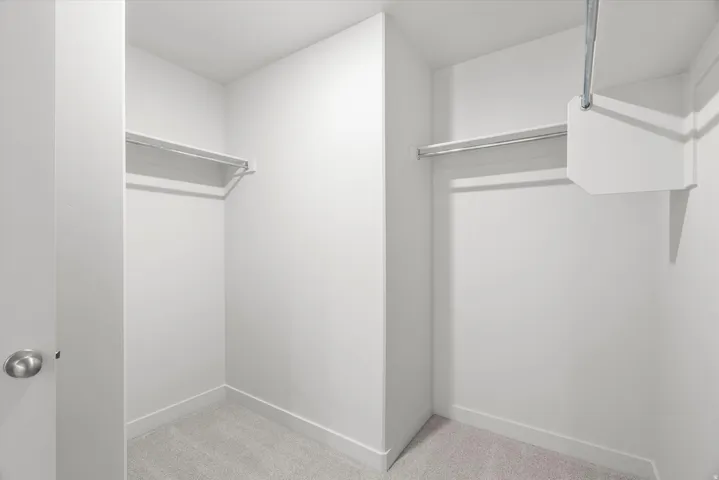 Recessed closet featuring two chrome hanging rods and light gray carpeting