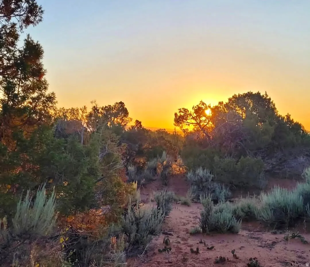 Expansive natural landscape featuring desert flora and a vibrant sunset horizon