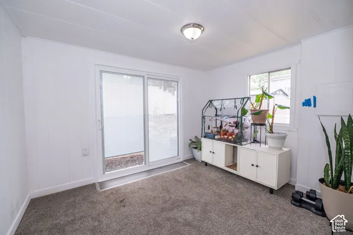 Carpeted interior space featuring white paneled walls, a sliding glass door, and an overhead flush-mount light fixture