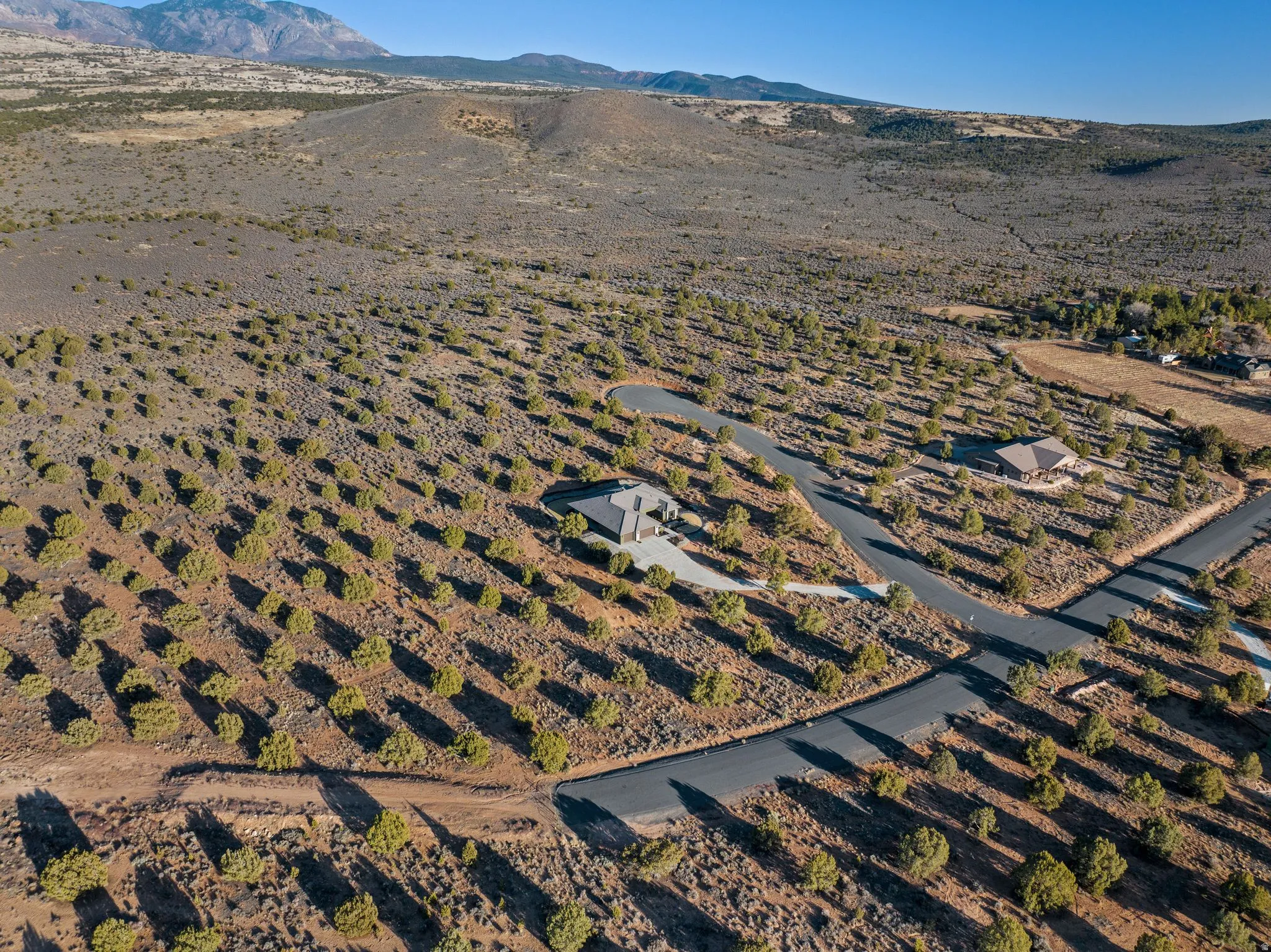 Expansive desert landscape featuring numerous mature trees and a paved road network