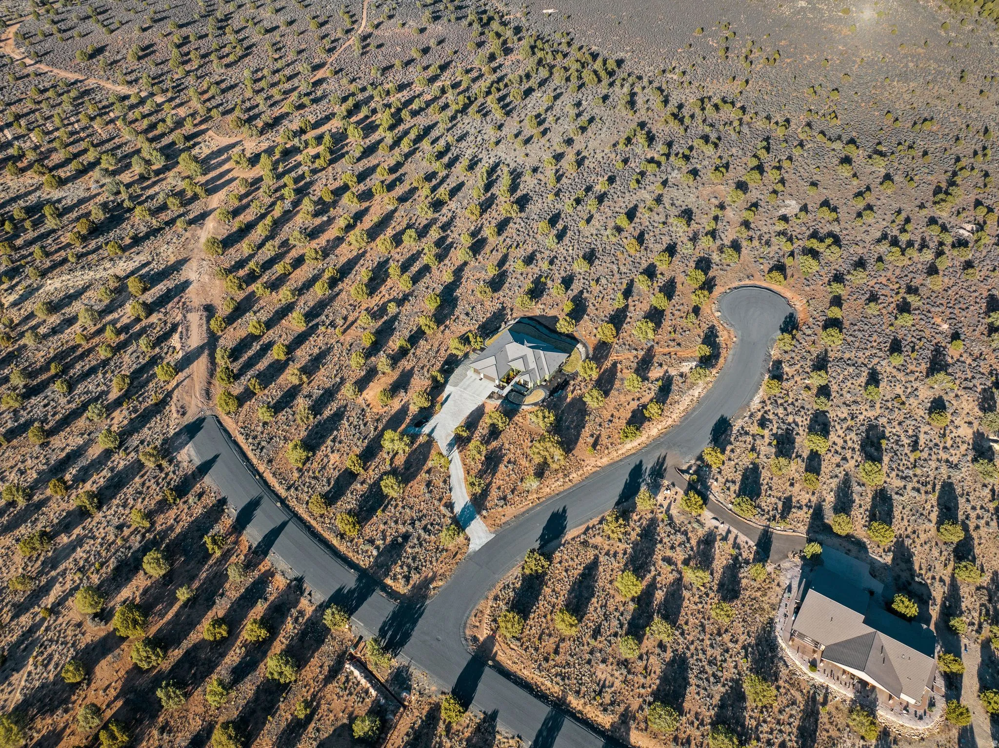 Expansive property featuring a paved road, natural landscaping, and established trees