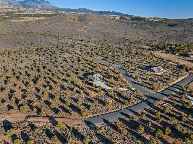 Expansive desert landscape featuring numerous mature trees and a paved road network