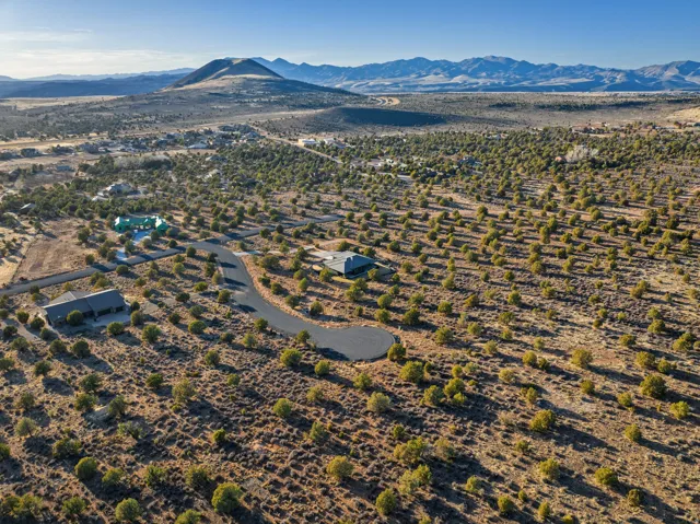 Expansive desert landscape featuring scattered evergreen trees and distant mountains under a clear sky