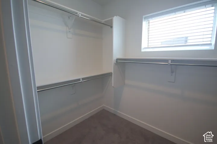 Walk-in closet featuring white built-in shelving, dual-tier metal hanging rods, neutral carpeting, and a window with horizontal blinds