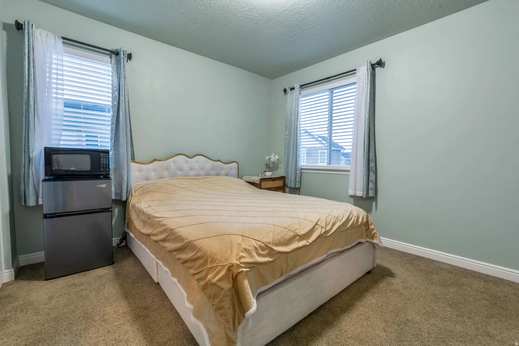 Carpeted room with two windows featuring blinds and drapes