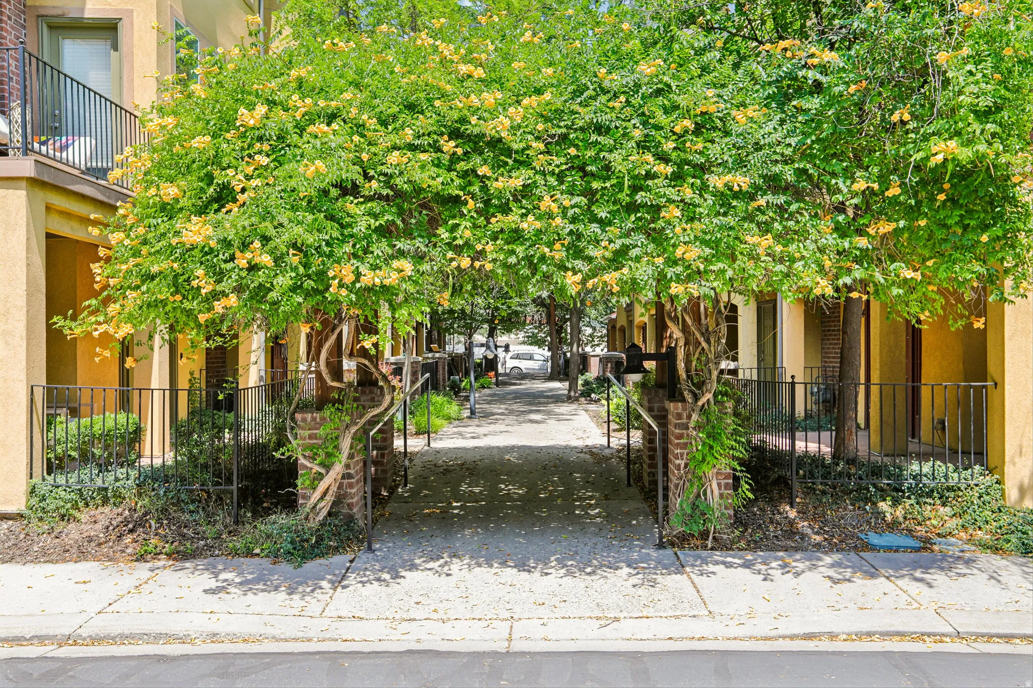 Archway entrance featuring mature flowering trees, brick columns, black metal fencing, and stucco architecture