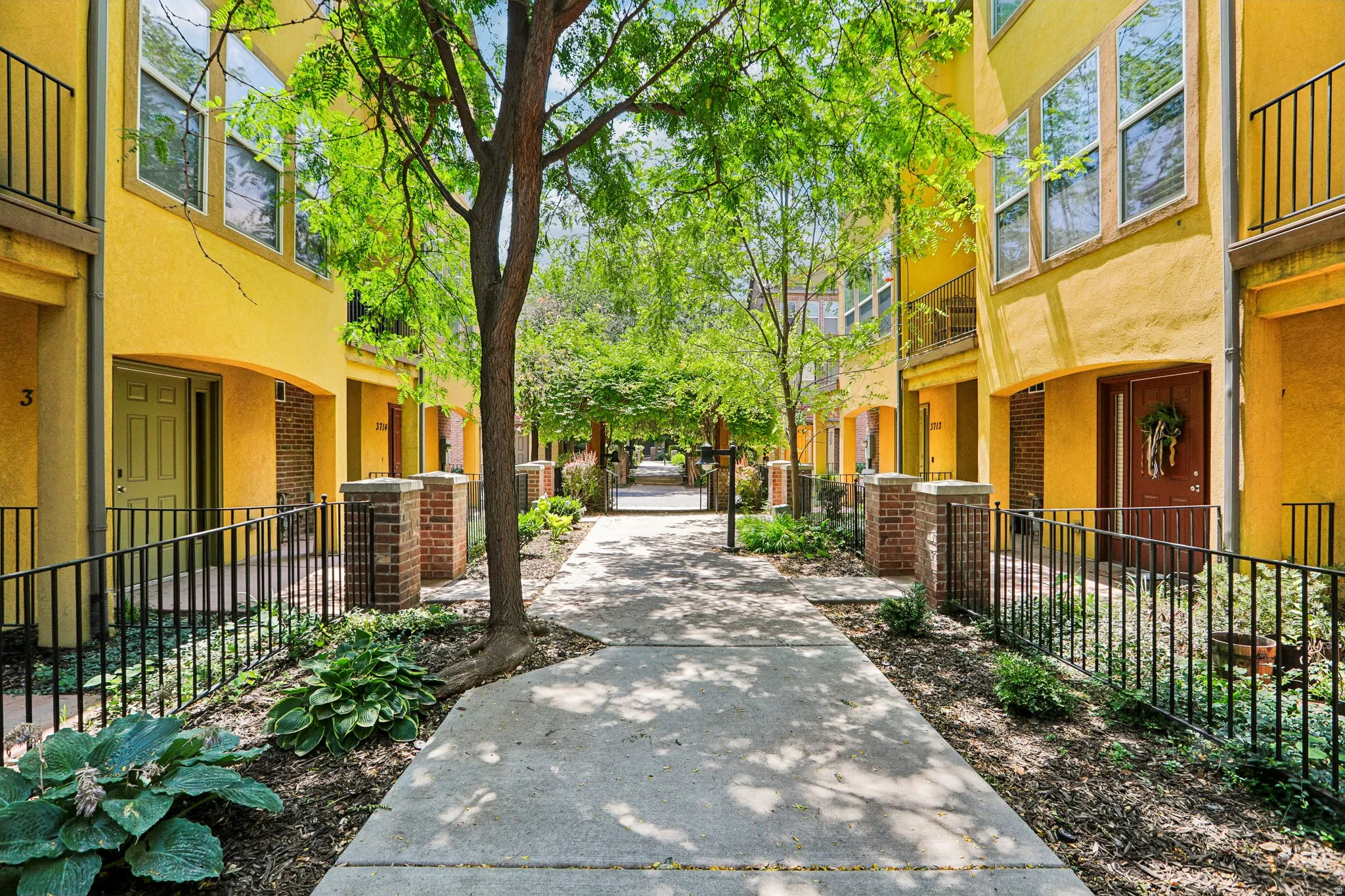 Courtyard pathway featuring concrete pavers and mature trees