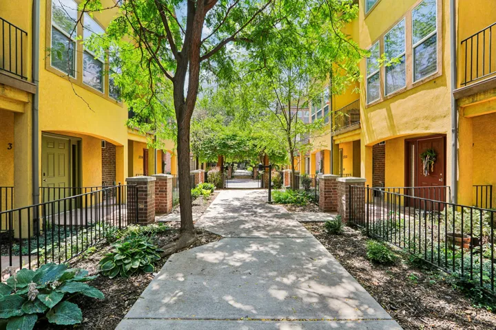 Courtyard pathway featuring concrete pavers and mature trees